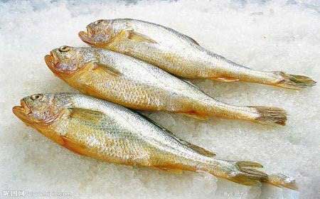 黄鱼盐腌方法及工艺流程