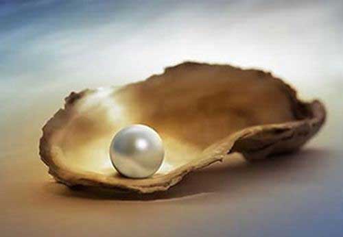 珍珠的采收和处理方法