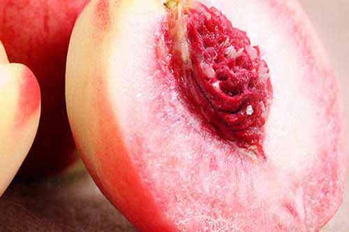 水果种植介绍：雪桃优良品种——“红世界”