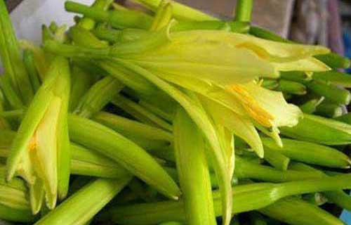优质黄花菜（金针菜）加工、分级和贮藏方法