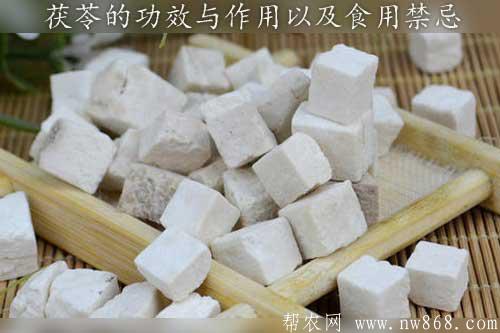 茯苓的功效与作用以及食用禁忌