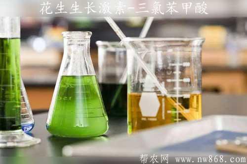 花生生长激素-三氯苯甲酸