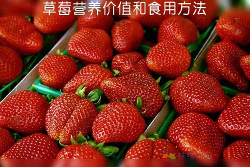 草莓营养价值和食用方法