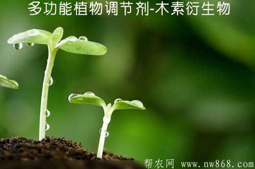 多功能植物调节剂-木素衍生物