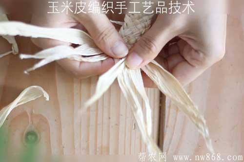 玉米皮编织手工艺品技术——平编编织法
