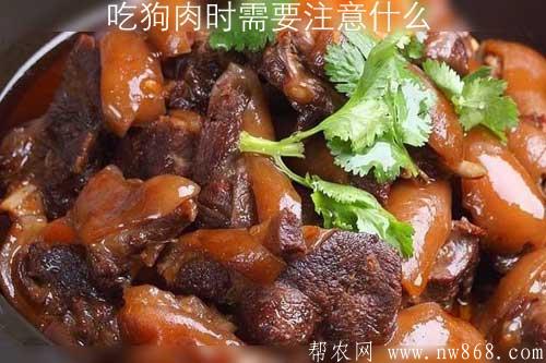 吃狗肉时需要注意什么