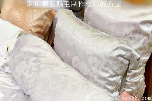 利用鸭毛鹅毛制作枕芯的方法