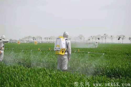简易农用杀虫剂和石硫杀菌剂制作方法