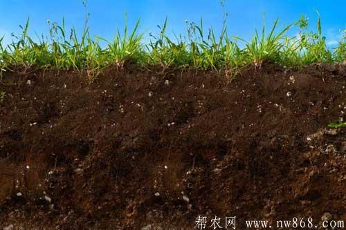 土壤调湿剂和SH土壤添加剂配方