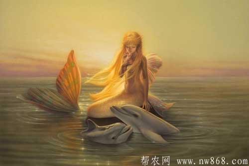美人鱼的童话故事|美人鱼的民间传说