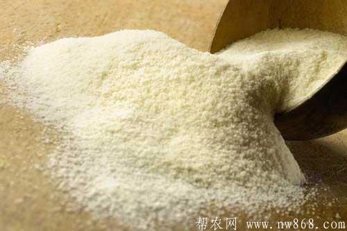低筋面粉和高筋面粉的区别是什么？小麦粉是低筋面粉吗？