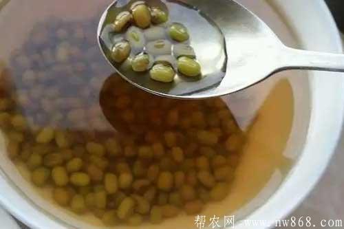 介绍八种简易消暑饮料的配方和制作方法