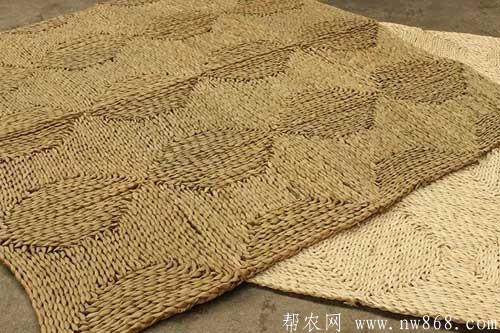 利用玉米皮或马蔺草编织地毯技术