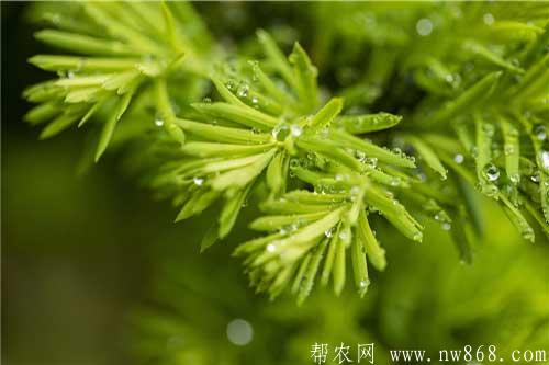 5月是什么季节？进入5月需要注意什么？