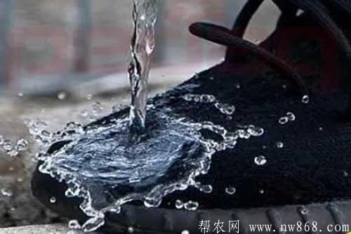 防水鞋油及地板蜡的配方和制作方法