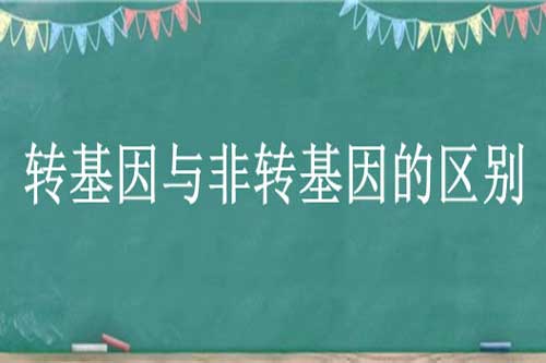 转基因与非转基因的区别是什么？转基因与非转基因食品哪个好？