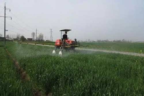 小麦如何施用磷酸二氢钾以及过磷酸钙等叶面肥