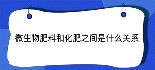 微生物肥料与化肥之间是什么关系？微生物肥料和化肥有什么特点？