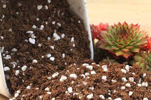 花卉养殖培养土的配制方法