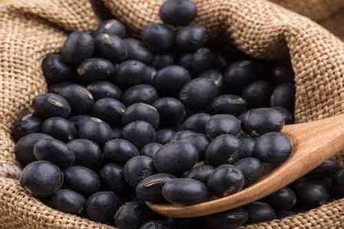 药黑豆有哪些功效？怎样种植药黑豆？