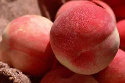 桃子是凉性还是热性水果？桃子的功效与作用有哪些？