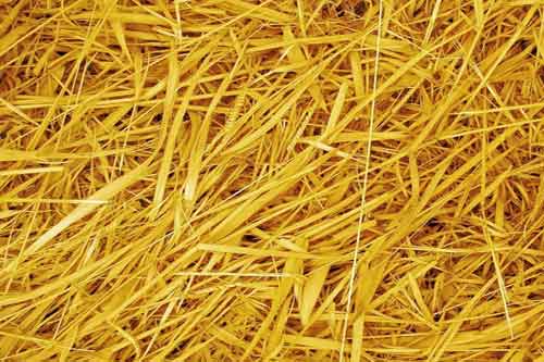 饲用稻草和麦秸的化学处理方法