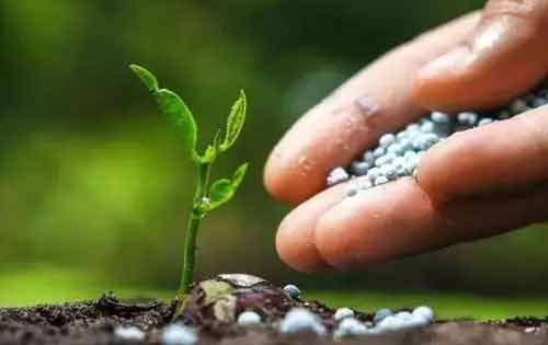 抑制氮肥损失方法以及土壤改良剂的作用