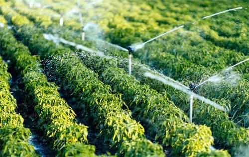 节水农业技术包括哪些方面？
