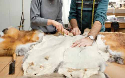 土法硝制毛皮方法及过程